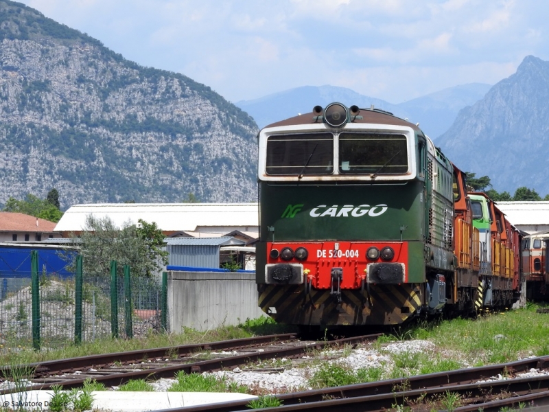 Clicca per vedere l'immagine alla massima grandezza