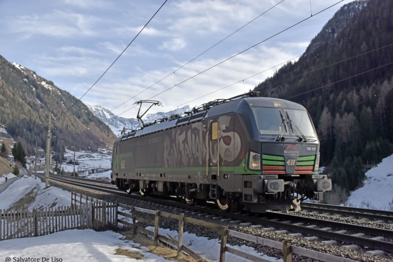 Clicca per vedere l'immagine alla massima grandezza