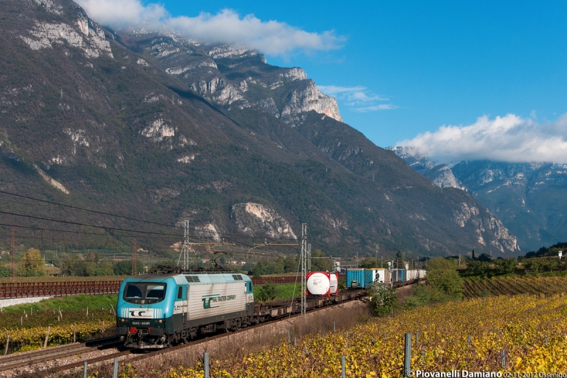 Clicca per vedere l'immagine alla massima grandezza