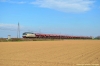 16871535679_c906448156_h.jpg