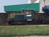 214_4029_Cavanella_3.jpg