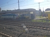 214_4301_Milano-Greco-28229.jpg
