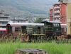 245_2158_Tirano.jpg