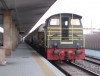 245_6040_Treviso.jpg