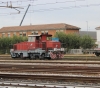 255_2008_ferrara~0.jpg