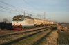 652gpl.jpg