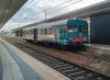 ALn663_1178_xxxx.jpg
