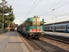 ALn668_3103_Treviso.jpg