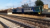 ALn668_3172_Treviso.jpg