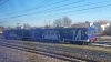 ALn668_606_Rovigo.jpg