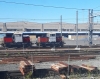 Automotore-LHB-509_Savona.jpg