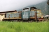 D141_1012_Tirano.jpg