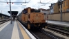 D145_1033_mantova.jpg