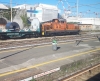 D145_2031_Savona.jpg