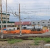 D318_003_xxxxu.jpg