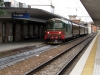 D345_1055_Treviso.jpg