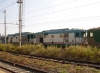 D443_2020.jpg