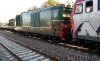 D445_1018_Istrana.jpg