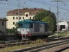 D445_1076_treviso.jpg