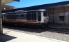 D445_1126_xxxx.jpg