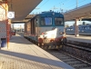 D445_1137_Treviso.jpg