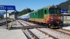 D445_1140_Calalzo.jpg