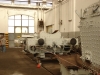 DSC01733.JPG
