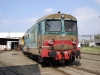 DSC01780.JPG