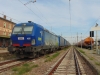 DSC02451.JPG