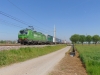 DSC02485.JPG