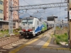 DSC03234.JPG