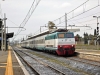 DSCN3517-1.jpg
