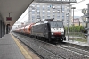 DSC_0003-1~1.jpg