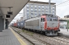 DSC_0005-1~2.jpg