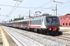 DSC_0012-1~0.JPG