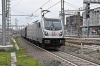 DSC_0012-1~0.jpg
