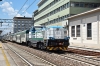 DSC_0015-1~1.jpg