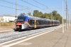 DSC_0019-1.JPG