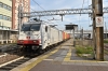 DSC_0023-1~3.jpg