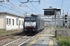 DSC_0023-1~4.jpg