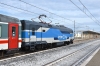 DSC_0032-1~0.JPG