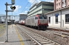 DSC_0032-1~1.jpg