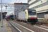DSC_0033-1~1.jpg
