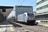 DSC_0035-1~1.jpg