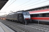 DSC_0037-1~2.jpg