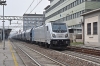DSC_0037-1~3.jpg