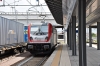 DSC_0038-1~3.jpg
