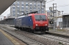 DSC_0038-1~4.jpg