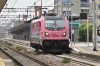 DSC_0042-1.jpg