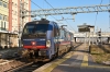 DSC_0045-1~1.jpg